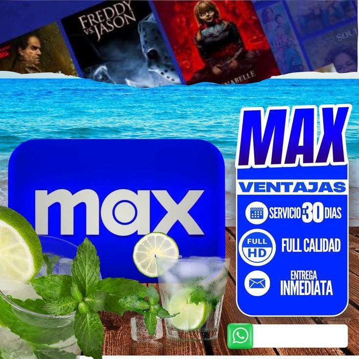MAX 1 PERFIL